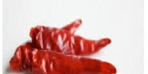 Stem Cut Dry Red Chilli