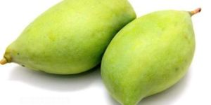 Totapuri Mango