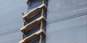 Pilot Ladder