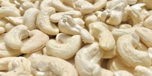 Cashew Nut