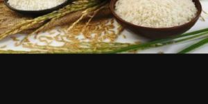 1121 Sella Basmati Rice