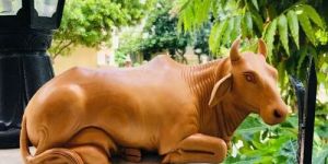 Wooden Cow