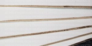 Plywood Panel