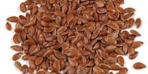 Flax Seed