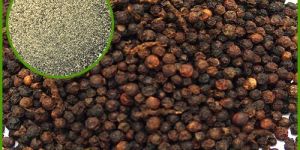 Black Pepper