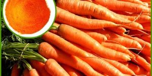 Carrot Extract Powder