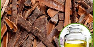 Cassia Oil