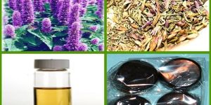 Hyssop Oil