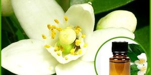 Neroli Oil