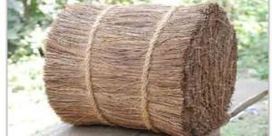 Palmyra Fibre