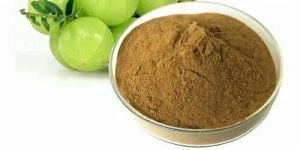 Amla Extract Powder
