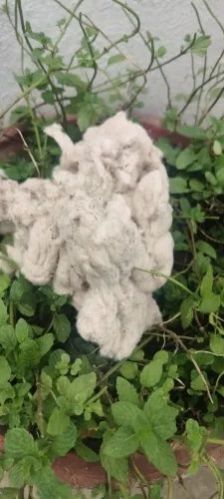 Cotton Waste