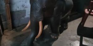 Rosewood Elephant Statues