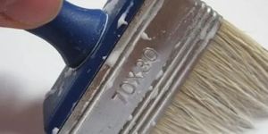 Oil Base Wall Primer