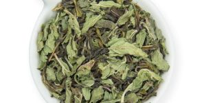 MINT PAAN GREEN TEA