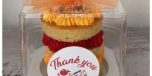 PET Cake Packaging Box