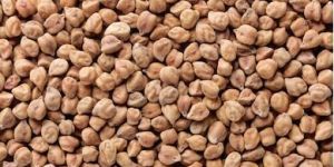 Black Chickpeas (Desi Chana/Kala Chana)