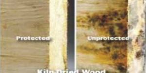Woodguard