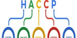Haccp Certification
