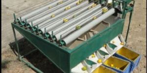 Fruit Grading Machine