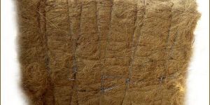 50 Kgs Coconut Fiber
