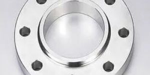 Stainless Steel Flanges