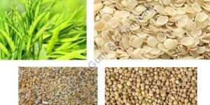 Guar Gum Refined Splits