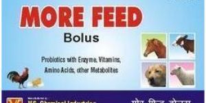 More Feed Tablet