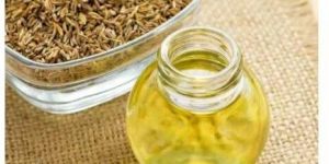Fennel Seed Oil