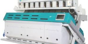 Multi Grain Sorting Machine