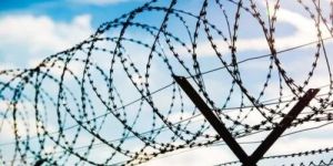 Stainless Steel Barbed Wire