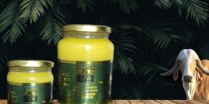 A2 Gir Cow Bilona Ghee