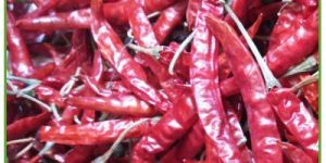 Teja Dried Chilli - Red Chilli With Stem
