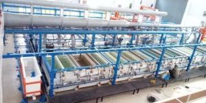 Silver Plating Plants