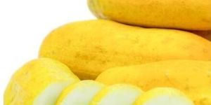 Fresh Yellow Cucumber