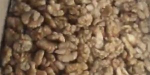 Walnut Kernels