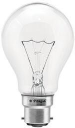 Incandescent Bulb 230/250 V 100 W Clear Lamp