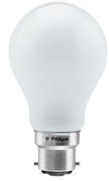 Special Incandescent Bulb