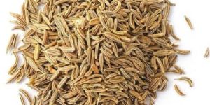 Cumin Seeds