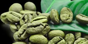Green Coffee Beans Extract