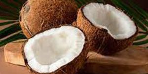 Fresh Coconut