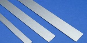 Stainless Steel Strips