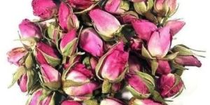 Dried Rose Buds