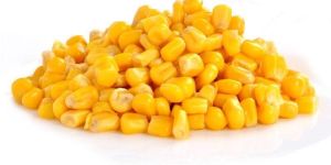 Frozen Sweet Corn