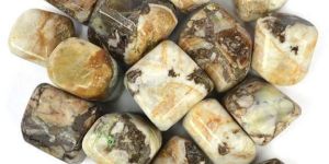 Wood Agate Tumble Stone