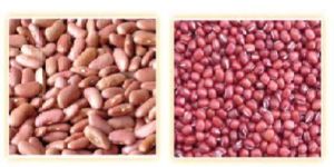 Kidney Beans