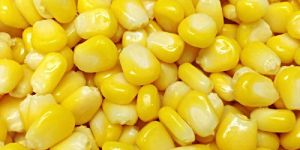 Frozen Sweet Corn