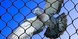 Bird Protection Netting