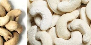Cashews Kernels