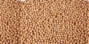 Chickpeas